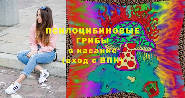 ALPHA PVP Кинешма