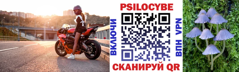 Галлюциногенные грибы ЛСД  продажа наркотиков  Камышин 