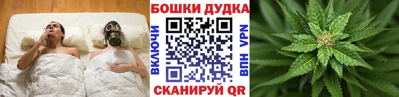Шишки марихуана план  купить наркотики сайты  Камышин 
